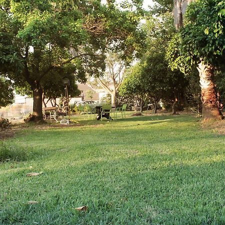 Villa Hosting Orchard à Bet Hillel Extérieur photo