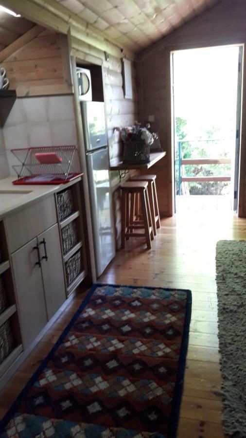 Villa Hosting Orchard à Bet Hillel Extérieur photo