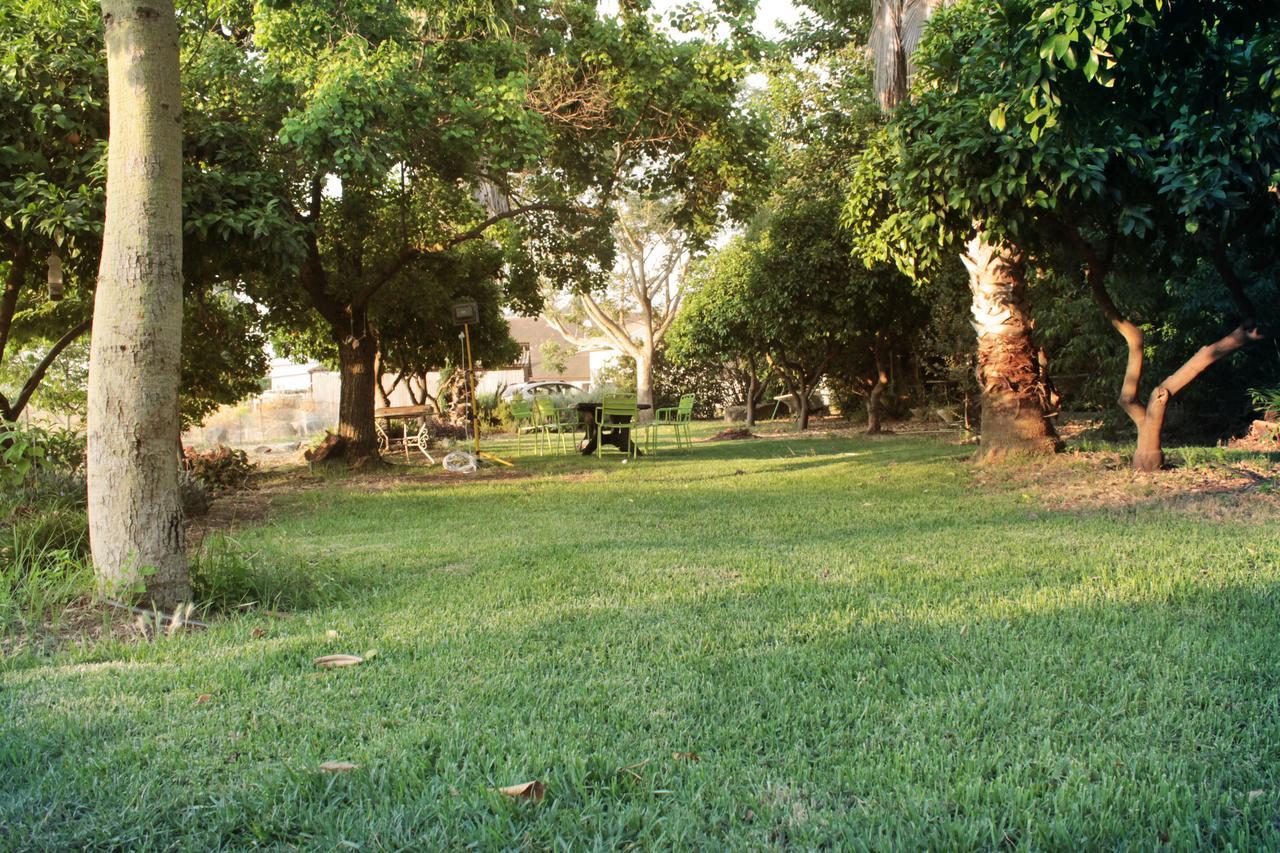 Villa Hosting Orchard à Bet Hillel Extérieur photo